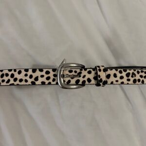 Abercrombie Cow Print Belt